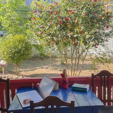 Cottage Коттеджи С Балконом Kobuleti Εξωτερικό φωτογραφία